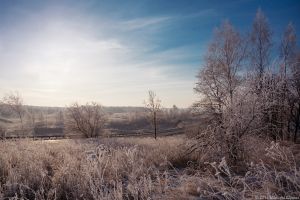   (DSC_2316.jpg, 175.79 Kb, 862 )