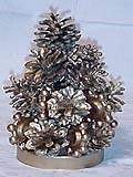   (furtree2.jpg, 10.01 Kb, 697 )