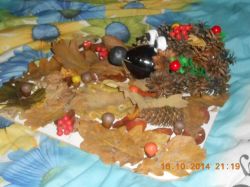   (DSCN2480.JPG, 149.75 Kb, 624 )