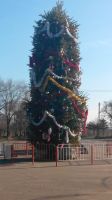   (IMG_20141226_132032.jpg, 110.61 Kb, 628 )