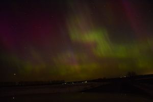   (DSC_2375.jpg, 42.37 Kb, 1262 )
