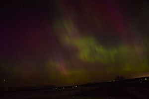   (DSC_2376.jpg, 41.65 Kb, 1255 )