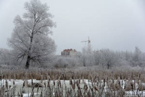   (DSC_2510.jpg, 150.97 Kb, 1106 )