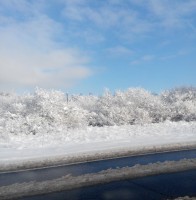   (IMG_20150420_063712.jpg, 198.85 Kb, 325 )