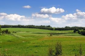   (DSC_1825.jpg, 0 Bytes, 804 )