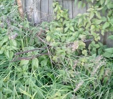   (PANO_20140928_175833525.jpg, 176.54 Kb, 639 )