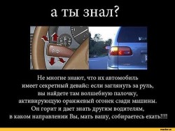  (--984096.jpeg, 85.65 Kb, 1226 )