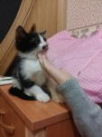   (6yVio8xoFrE.jpg, 50.63 Kb, 799 )