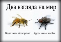   (6132609.jpg, 40.56 Kb, 928 )