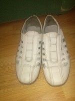   (CAM00962.jpg, 117.19 Kb, 737 )