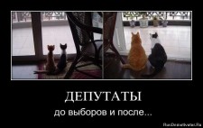   (1326709892_mpwck5zu3ci8.jpg, 50.71 Kb, 699 )