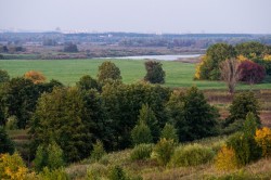   (DSC04819.jpg, 222.52 Kb, 668 )
