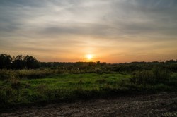   (DSC04843.jpg, 133.52 Kb, 992 )