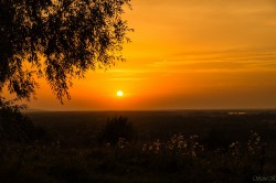   (DSC04866.jpg, 161.02 Kb, 814 )
