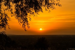   (DSC04873.jpg, 168.15 Kb, 836 )