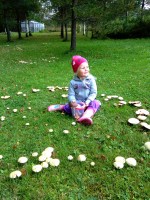   (IMG_20150919_103315eet.jpg, 361.1 Kb, 354 )