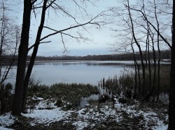   (DSCN8867.JPG, 325.77 Kb, 295 )