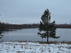   (DSCN8843.JPG, 169.28 Kb, 410 )