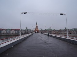   (DSCN8925.JPG, 105.51 Kb, 510 )