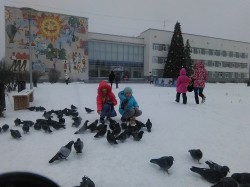   (IMG_20151219_110027.jpg, 176.24 Kb, 856 )
