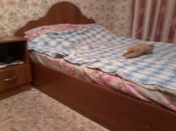   (20160109_173504.jpg, 136.61 Kb, 881 )