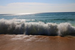   (IMG_3361ext.jpg, 193.29 Kb, 583 )