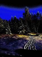   (IMG_0098ext.jpg, 294.26 Kb, 433 )