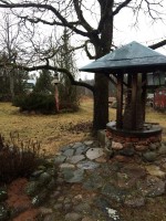   (IMG_0195.JPG, 271.63 Kb, 415 )