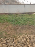   (IMG-20160217-WA0001.jpg, 200.4 Kb, 400 )