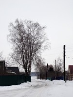   (DSC06095.JPG, 172.63 Kb, 865 )