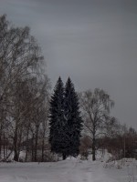  (DSC06074.JPG, 173.08 Kb, 864 )