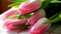   (image (33).jpg, 42.7 Kb, 870 )