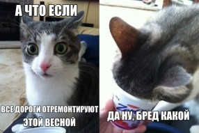   (2DMSBJtvfZo.jpg, 61.92 Kb, 684 )