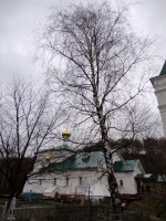   (DSC06296.JPG, 295.92 Kb, 626 )