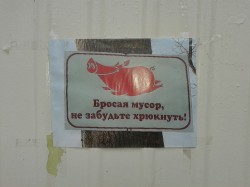   (0189.jpg, 123.28 Kb, 762 )