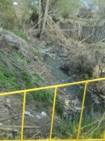   (DSC08809.JPG, 322.63 Kb, 431 )