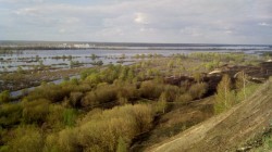   (IMG-20160502-WA0002.jpeg, 145.95 Kb, 875 )