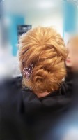   (2016-05-17_12.50.48.jpg, 73.57 Kb, 220 )