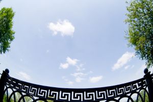   (IMG_7966.jpg, 284.62 Kb, 351 )