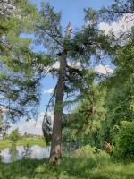   (DSC06519.JPG, 313.41 Kb, 401 )