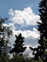   (DSC06517.JPG, 204.01 Kb, 1015 )