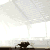   (2138166.gif, 33.29 Kb, 17645 )