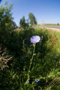   (IMG_7942.jpg, 271.81 Kb, 362 )