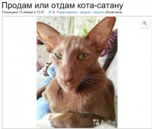   (6991837.jpg, 69.7 Kb, 1094 )