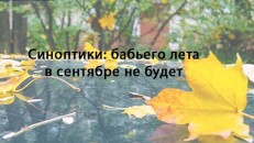   (cJPQt2oD2tE.jpg, 74.07 Kb, 876 )