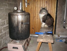   (IMG_3289.jpg, 161.37 Kb, 222 )