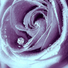   (.gif, 14.65 Kb, 591 )
