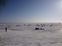   (DSC05373.JPG, 115.67 Kb, 1082 )