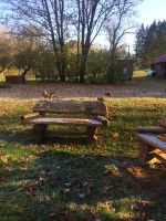   (IMG_0019 -  - .JPG, 347.3 Kb, 381 )