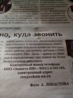   (lwZRQIi38KU.jpg, 168.96 Kb, 780 )